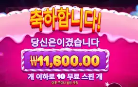 스위트 러시 보난자 11천원