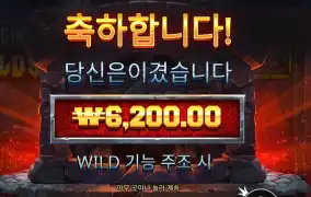 프라그마틱 포징 와일드 배팅