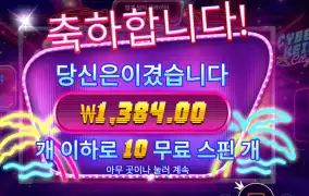 사이버하이스트 시티 １０바퀴