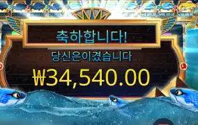 피시 아이 34천원