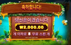 3 버징 와일드 배팅 결과