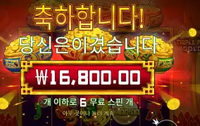 트리플 팟 골드