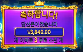 프린세스 파치 슈퍼 스핀 구매