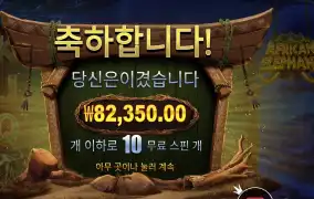 아프리칸 엘리펀트 82천원