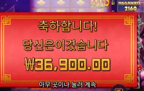 플로팅 드래곤 １８４배