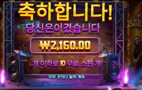 와일드 스컬즈 10스핀