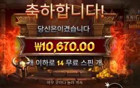 나이트 바바리안 14스핀