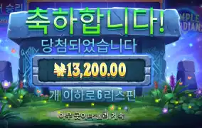 템플 가디언즈 13천원