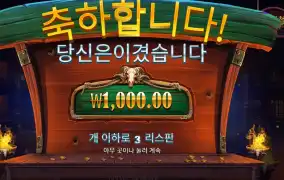 카우보이 코인즈 2콩 결과