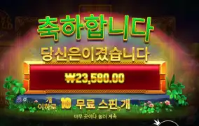 휠 오골드 117배