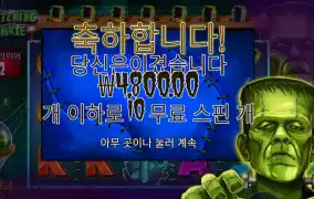 프라이트닝 프랭키 ４천원