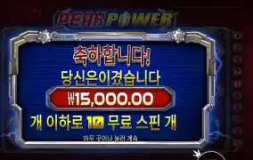 피크 파워 １５천원