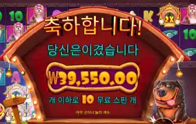 더 도그 하우스 멀티홀드 １９７배