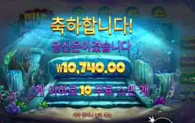 와일드 와일드 펄스 슈퍼 스핀 구매