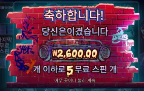 빅도그 5스핀