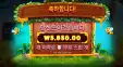 3버징와일드 5천원