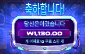 프라그마틱 그래비티 1천