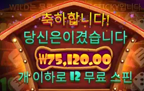 도그하우스 7.5콩 당첨 스핀수 아쉽다