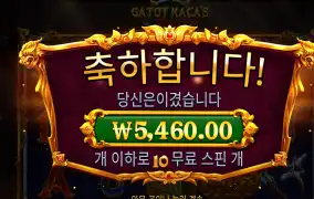 가토카카퓨리 5천원