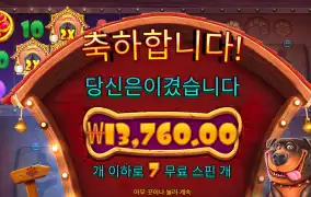 개집 멀티홀드 1.3만