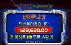 피크파워 2.9콩