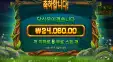 팀버스택 2.4콩
