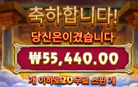 포춘 올림푸스 220배당  5.5만