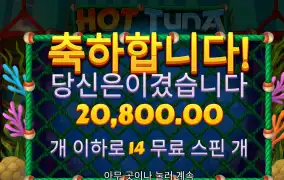 프라그마틱 핫투나 2콩