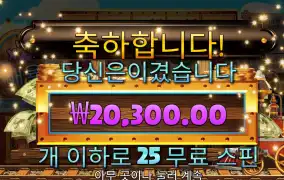 스티밍 릴스 25스핀