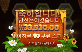 비키퍼 40스핀 3.4콩 후기