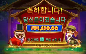 개집 로얄헌트 12바퀴