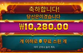 사바나 1콩