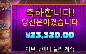 폰조 2.3만 딱 스핀구매값만