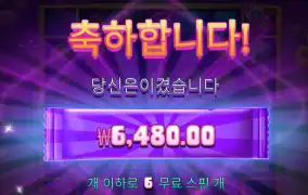 캔디코너 6천