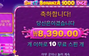 프라그마틱 스보다이스 8천