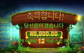 아이리쉬 8800