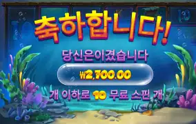 프라그마틱 비웨어 2700