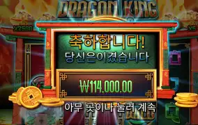 프라그마틱 드래곤킹
