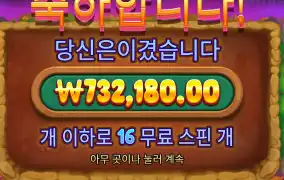 제휴 바오 슬롯 후기