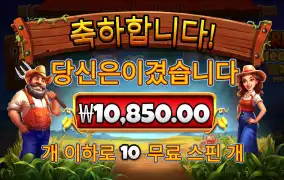 반야드 슬롯후기