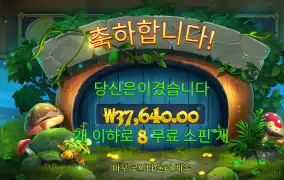 팟포춘 3.7콩