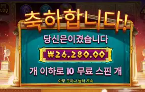 아테마1000 리뷰