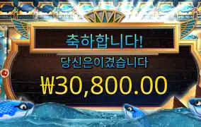 피씨아이 3콩