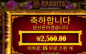 5래빗메가 리뷰