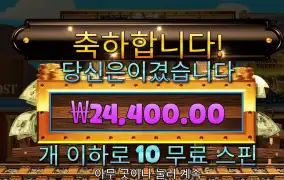 스티밍릴스 24400