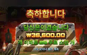 베그제로 20스핀 3.6콩