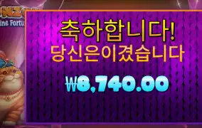 폰조 후기