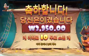 개집머틀리