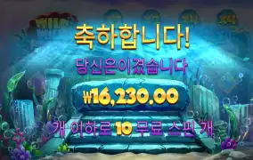 와일드펄스 1.6콩