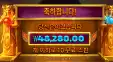 듀얼나이트 240배당